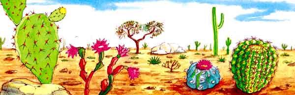 Este es un paisaje desértico. El suelo es árido, hay algunos arbustos pequeños, cactus, nopales, viznagas.