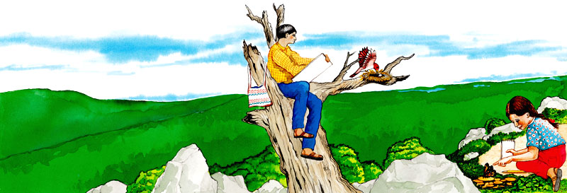 En esta imagen se ven dos jóvenes estudiando, están en un campo, hacen anotaciones sobre los pájaros y las mariposas.