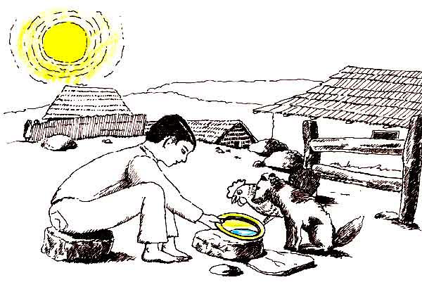 En esta imagen está observando el niño lo que ha ocurrido, dejó el plato al sol. El agua ha disminuido del plato al estar expuesto al sol. Al recibir el calor del sol, se ha evaporado.