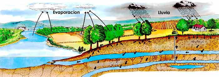 En esta imagen vemos cómo el agua de ríos, lagos y mares se evapora y se eleva al cielo para formar las nubes. Luego el agua vuelve a caer en forma de lluvia.