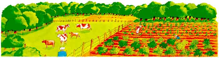 En esta imagen se ve al ganado alimentándose de en una gran área verde y también se ve a un par de campesinos en un plantío.