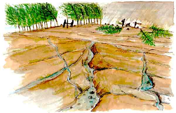 En esta imagen se cómo están talando los árboles. No deben quitarse todos los árboles para sembrar ya que así se daña el suelo, al llover la tierra no tiene en qué detenerse y los suelos quedarían como en la imagen, muy deteriorados.