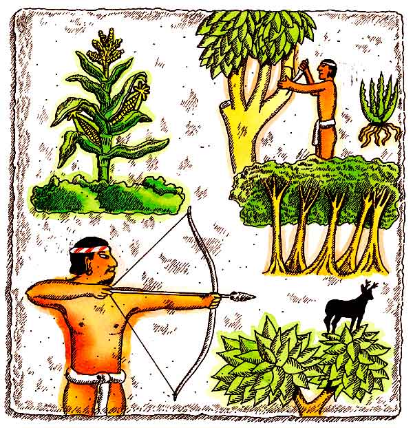 En esta imagen se ve cómo los antiguos mexicanos aprovechaban el medio sin perjudicarlo. Hay un hombre recogiendo frutos de un árbol y hay otro que está cazando.