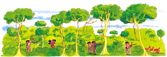 En esta imagen se ve cómo los mayas, además de su labor agrícola, tenían huertos frutales y recolectaban raíces y frutos de la selva. También aprovechaban la madera y cazaban venados para alimentarse.