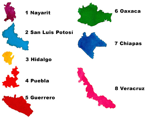 En esta imagen vemos la silueta de los estados de: Nayarit, San Luis Potosí, Hidalgo, Puebla, Guerrero, Oaxaca, Chiapas y Veracruz.