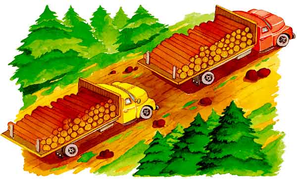 En esta imagen vemos cómo se llevan la madera que cortan de los árboles en grandes camiones.