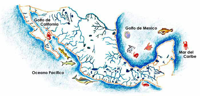 En esta imagen se ve un mapa de México están señalados el Océano Pacífico, Golfo de México, Golfo de California, Mar Cribe y se ven además los ríos de la República mexicana.
