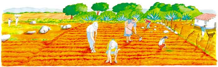 En esta imagen se ven unos campesinos trabajando la tierra, unos mueven la tierra con un rastrillo y otros tiran semillas.