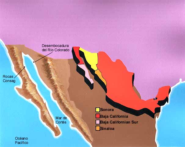 En este mapa de la República se ve en qué lugares hay vaquitas. Sonora, Baja California, Baja California Sur y Sinaloa.