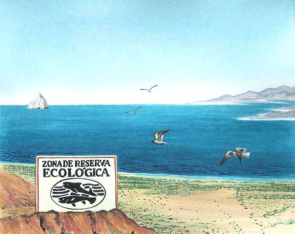 En esta imagen vemos desde la playa la reserva ecológica del Golfo de California.