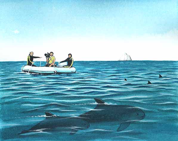 En esta imagen vemos unos biólogos en el mar, ellos se dedican a estudiar a las vaquitas.