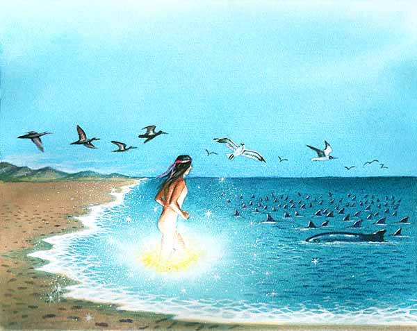 En esta imagen la playa se ve llena de estos animales parecidos al delfín. Se dice que así fue como se lleno el mar de vaquitas.