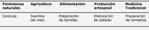 Tga Primaria Ind Gena Oaxaca La Producci N De Textos En Lenguas Ind Genas