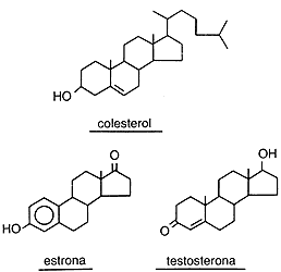 Esteroides estructura general
