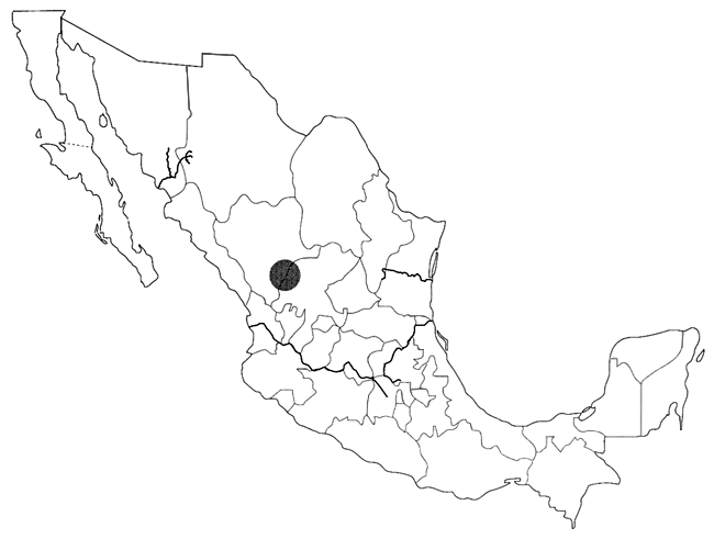 Mapa de la cultura Chalchihuites se restringe a la parte norte d ela zona noroccidental de la Mesoam�rica septentrional de Braniff, cuyo punto principal es el centro ceremonial de Altavista, seg�n  Kelley; que ubicaron la zona como homog�nea, de los a�os 200 a 1350 de nuestra era.