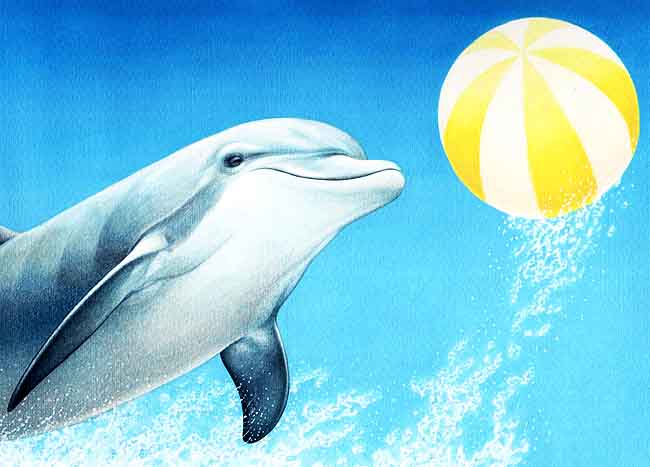 En esta imagen vemos un delf&iacute;n jugando con una pelota. Los delfines son llevados muchas veces a acuarios, donde saltan aros y juegan con pelotas.