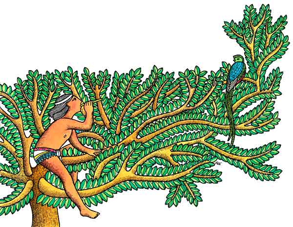 Aquí vemos un hombre en un árbol con una cerbatana ya que así les dijeron los totonacas de Yahulichan lo podían atrapar.