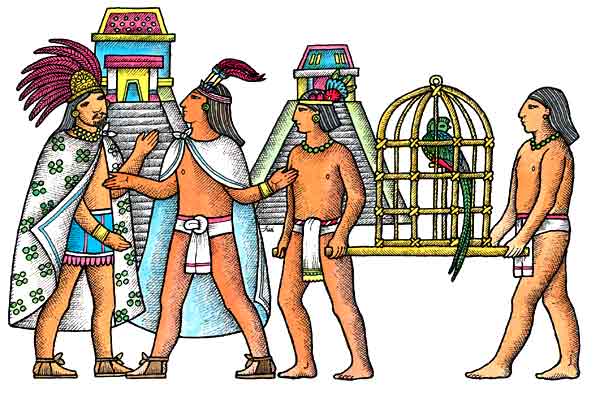 En esta imagen vemos cómo encerraron en una gran jaula al quetzal y se lo están entregando a Moctezuma.