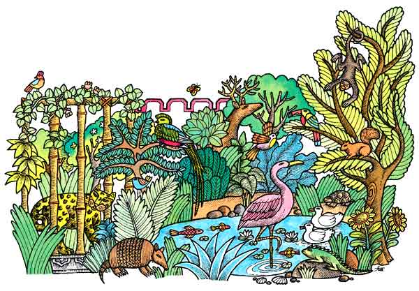 En esta imagen vemos flamingos, armadillos, jaguares, patos, un estanque con peces, tortugas, aves, monos, quetzales. Este es el lugar donde debe vivir un quetzal, por esa razón el que capturaron murió ya que lo encerraron en una jaula.