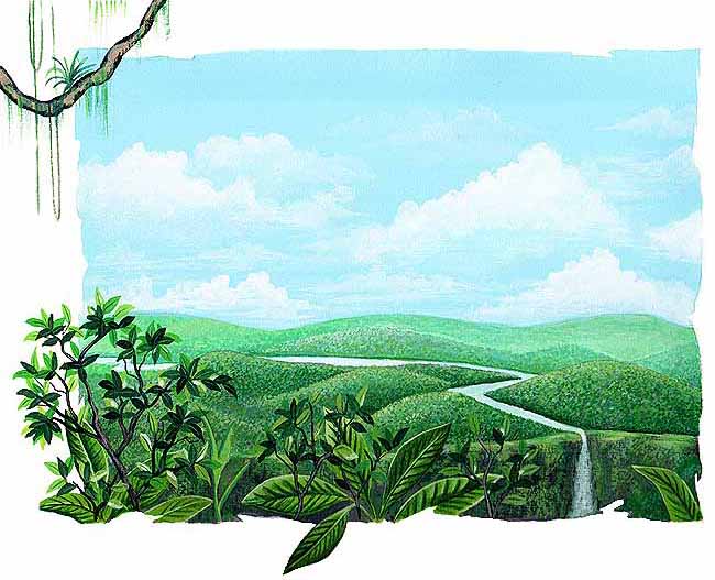 En esta imagen se ve un paisaje con mucha vegetaci&oacute;n.