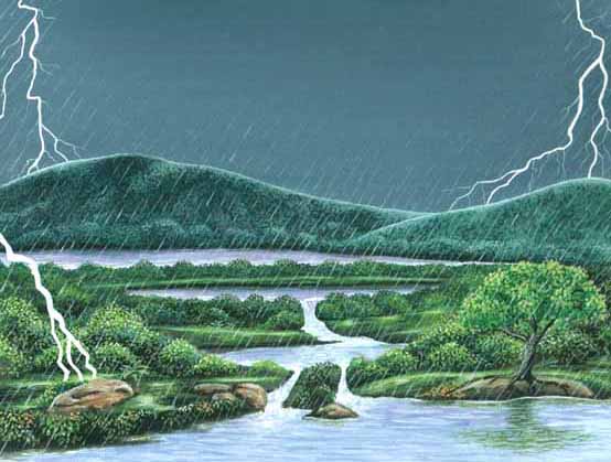 En esta imagen vemos una tormenta. Las lluvias hacen que la selva tropical siempre est&eacute; llena de agua.