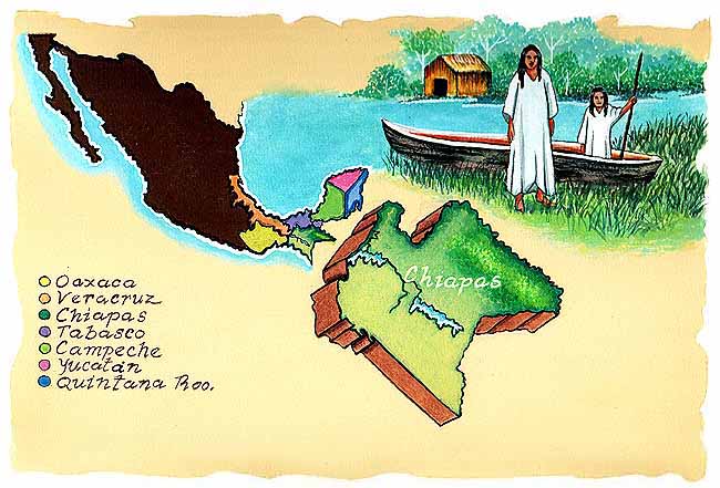 Aqu&iacute; vemos las extensiones de selva en M&eacute;xico. Oaxaca, Veracruz, Chiapas, Tabasco, Campeche, Yucat&aacute;n y Quintana Roo.