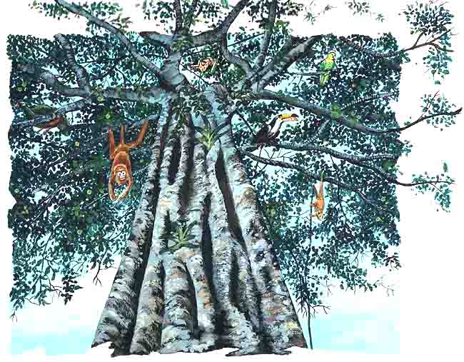 Las estranguladoras dan unos frutos parecidos a los higos. Esto sirve de alimento como vemos en la imagen  a monos, p&aacute;jaros y murci&eacute;lagos.