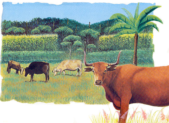 En esta imagen vemos al ganado pastando.