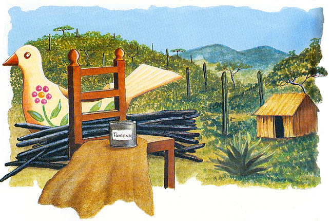 En esta imagen vemos algunas artesan&iacute;as hechas con madera que se aprovecha de estas selvas. Se usa para hacer artesan&iacute;as, muebles y de algunos &aacute;rboles se extrae una sustancia llamada taninos, que sirve para curtir piel.