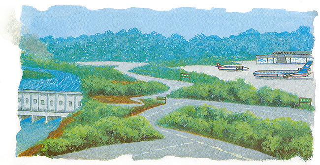 En esta imagen vemos un aeropuerto rodeado de carreteras. El hombre en su lucha por obtener ganancias econ&oacute;micas, prefiere destruir las selvas para construir carreterras, presas y aeropuertos.