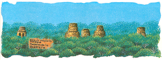 En esta imagen vemos unas reservas ecol&oacute;gicas. Los antiguos mayas edificaron  en la selva:  Bonampak y Palenque en Chiapas, Uxmal en Yucat&aacute;n, Xpuhil en Chetumal. Los olmecas construyerpn la Venta en Tabasco