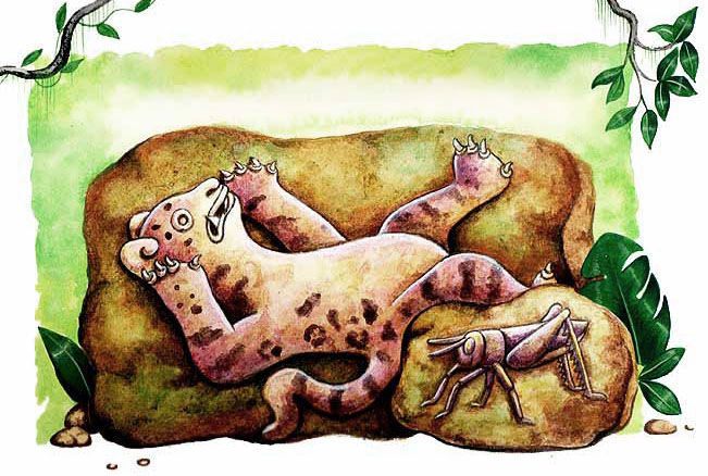 En esta imagen vemos al jaguar que estaba dormido pero un grillo se hab&iacute;a metido a su oreja y zumb&oacute; muy fuerte, el jaguar salt&oacute; del dolor y de su oreja sali&oacute; el grillo. Esto enoj&oacute; mucho al jaguar.