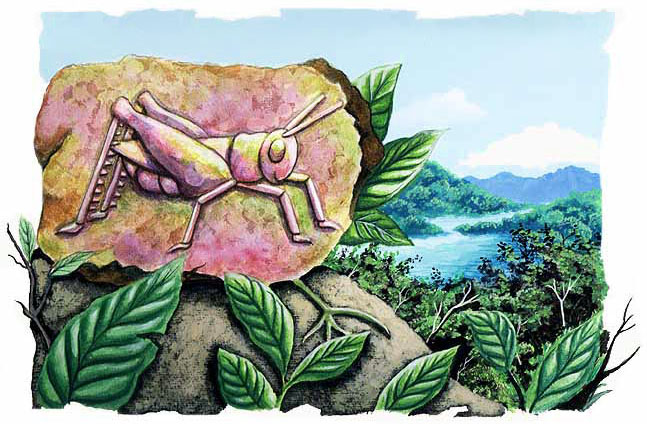 En esta imagen vemos al grillo entre la selva.