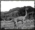 tn_anchisaurus_jpg.jpg (5336 bytes)
