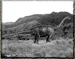 tn_cetiosauridae_jpg.jpg (5213 bytes)