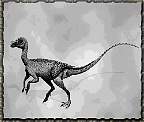tn_coelurus_jpg.jpg (4460 bytes)