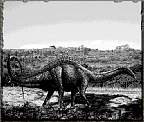dicraeosaurus.jpg
