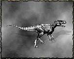 tn_herrerasauridae_jpg.jpg (4277 bytes)