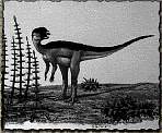 tn_hypsilophodon_jpg.jpg (6178 bytes)