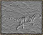 tn_megalosauridae_jpg.jpg (9071 bytes)