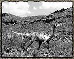 tn_podokosauridae_jpg.jpg (7834 bytes)