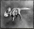 tn_protoceratops_jpg.jpg (4485 bytes)