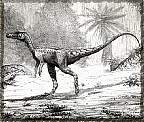 tn_staurikosaurus_jpg.jpg (7240 bytes)