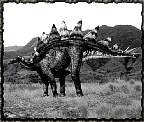 tn_stegosaurus_jpg.jpg (5992 bytes)