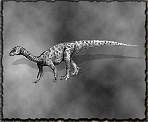 tn_theeodontosaurussp_jpg.jpg (3844 bytes)